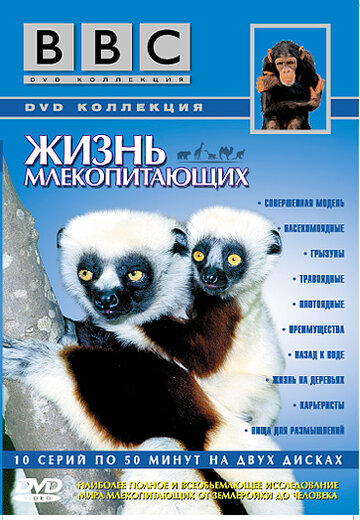 Смотреть BBC: Жизнь млекопитающих (2002) онлайн в Хдрезка качестве 720p