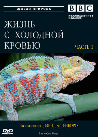 Смотреть BBC: Жизнь с холодной кровью (2008) онлайн в Хдрезка качестве 720p